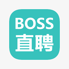 BOSS直聘可带会员（可定制） 详询客服